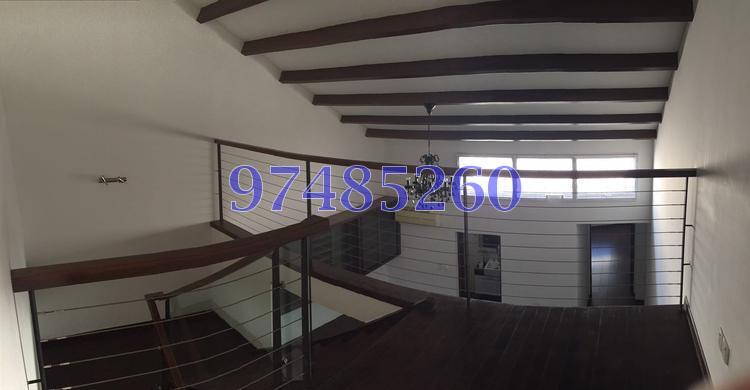 Everitt Road (D15), Terrace #119898742